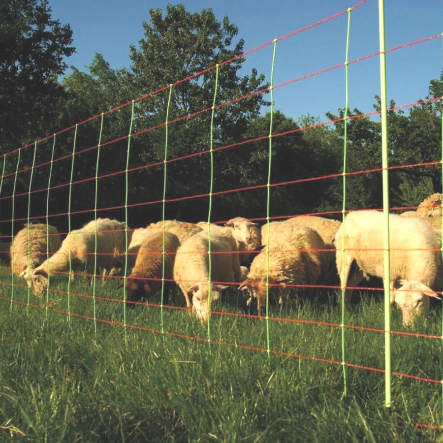 Combo net for sheep, single pin, 90cm high, 50m long