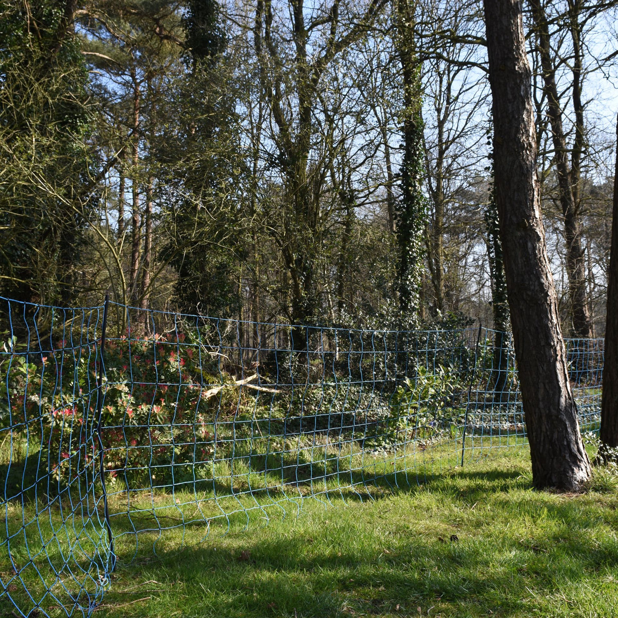 Wolf Netting, Blue