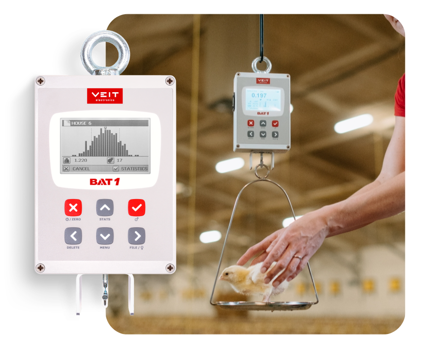 Manual Poultry Scale | BAT1