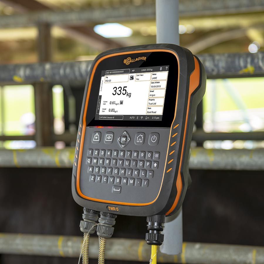 TWR-5  Weigh Scale and Data Collector with integrated EID Reader