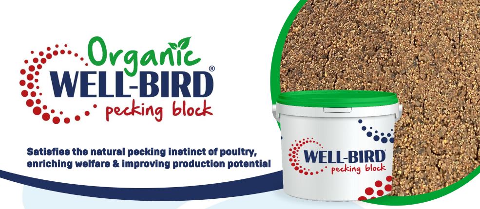 Well Bird Organic Pecking Block - Organic Pecker Blocks for Chickens 14kg