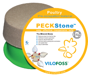 PECKStone - EXTRA Hard - Red Tub - 10kg