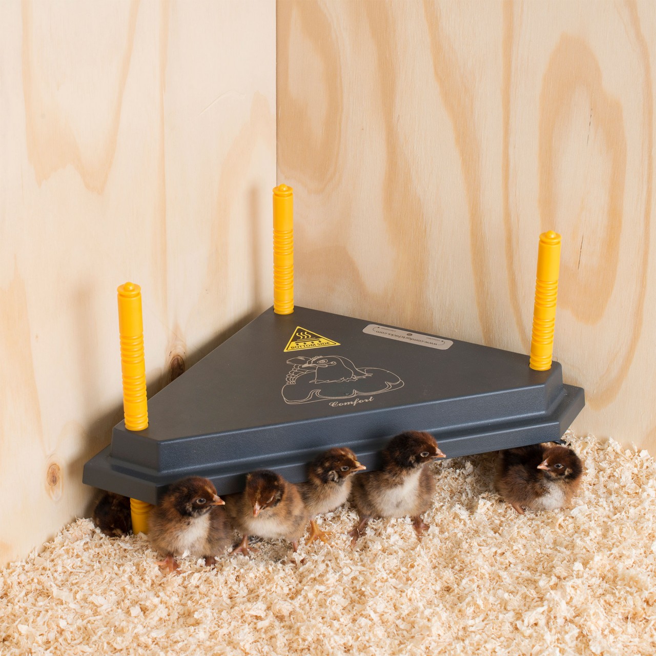 Brooder Heater for Chicks: Chick Brooder Heating Plate with offers Easy